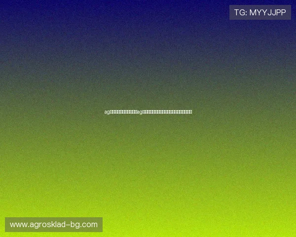 ag百家乐网址：世界杯期间ag百家乐网址的安全性分析与用户体验提升方案
