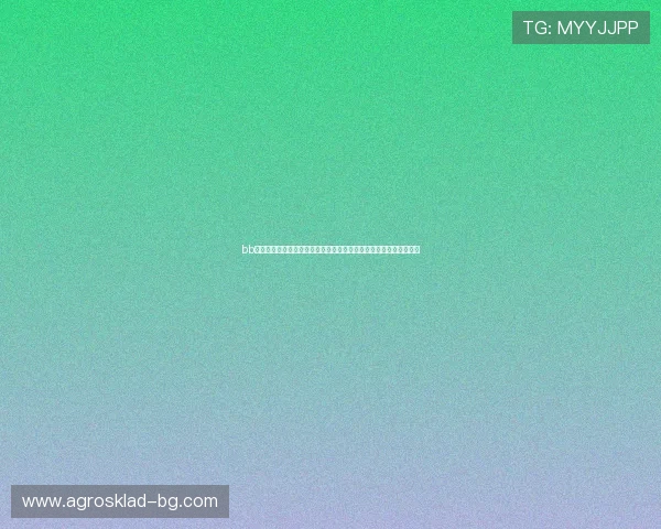 bb视讯大厅高清直播：确保用户享受零延迟的世界杯赛事高清观看体验